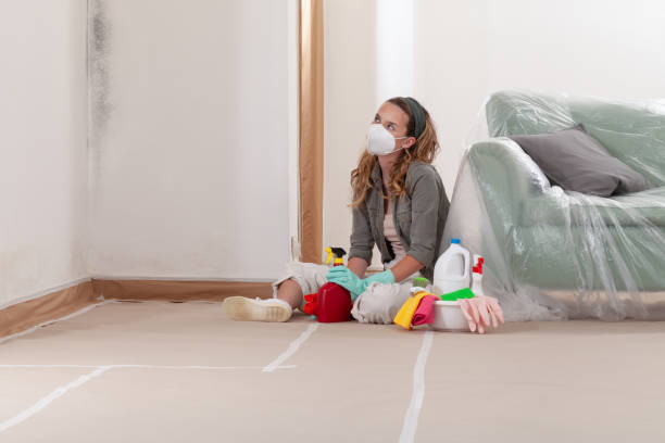 Reliable Bathroom Mold Removal contractor in Alto, TX by Mold Remediation HQ